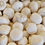 Thumbnail: 10 Inch Shroom Kit