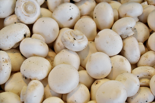 veel champignons