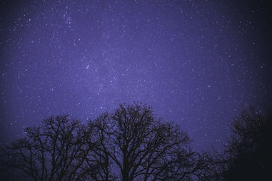 Image by Atanas Dzhingarov