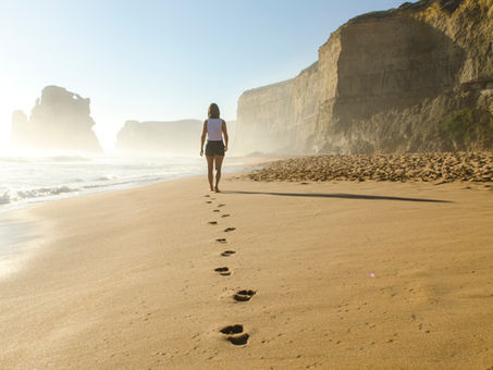 The Foundation of Wellness