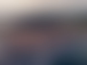 Viajar para Cannes com o seu cão, hotéis pet friendly em Cannes