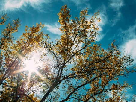 March 2021 Astrology: Full Steam Ahead! (But Where?)