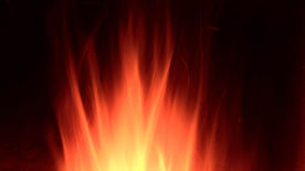 2023年2月14日 耶利米書20-22章「真信心蘊含著真勇氣」