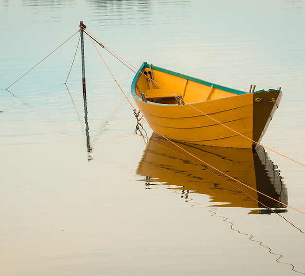 Image by Jamie Morrison