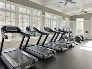Empty bright gym with rows of treadmills and ellipticals by large windows, sunlight on dark floor.