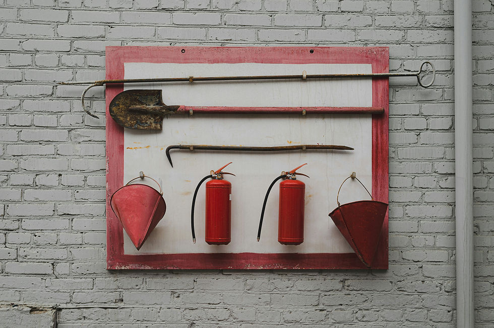 Image by Egor Myznik