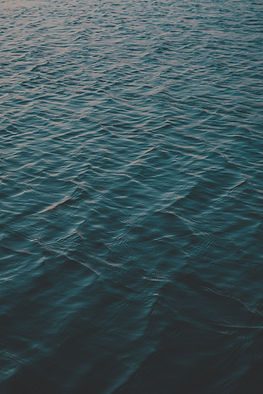 Image by Matteo Bernardis
