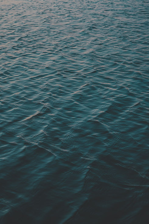 Image by Matteo Bernardis