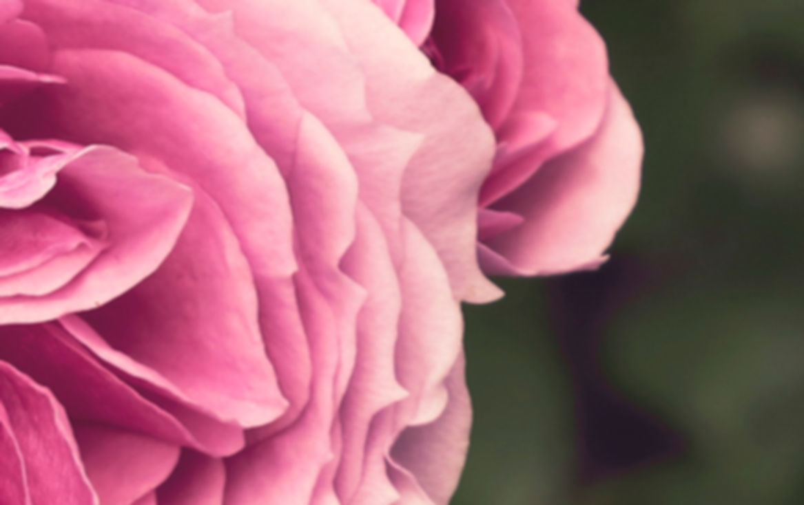 Image by Irina Grotkjaer