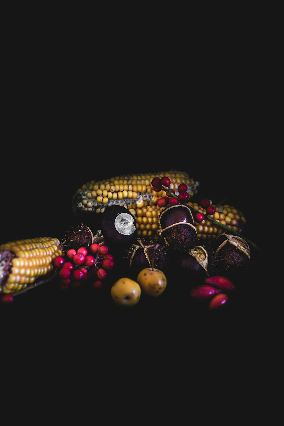 Freemasonry - LIVE MYFRATERNITY.ORG: Congressman John Lewis