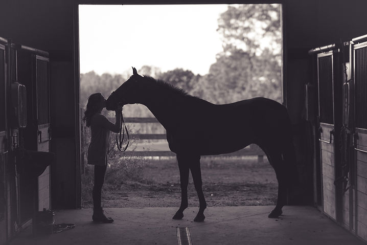 Image by Kenny Webster