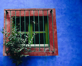 Image by Luis Vidal