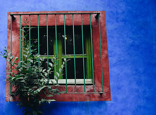 Image by Luis Vidal