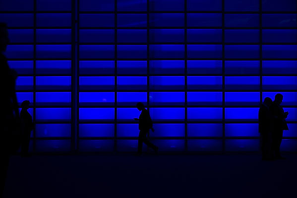 Image by Markus Spiske