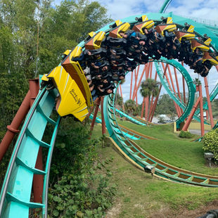 STUCK ON THE EMOTIONAL ROLLERCOASTER? DBT can help you find your balance.