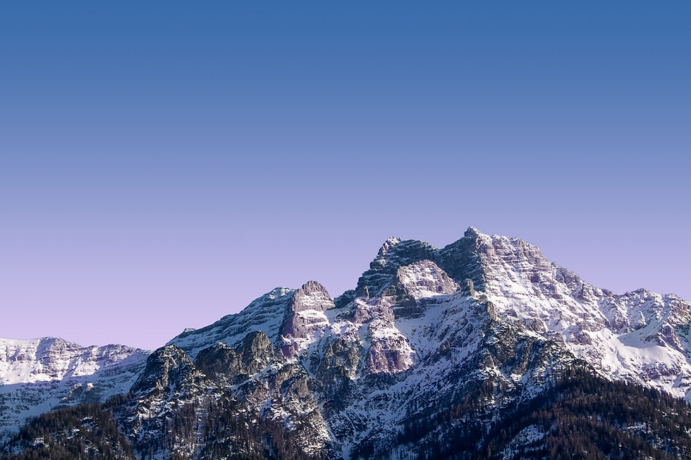 Image by Jonas Gerg
