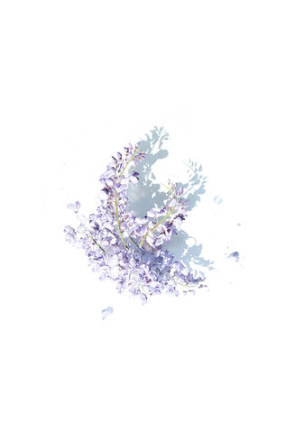 Image by Evie S.
