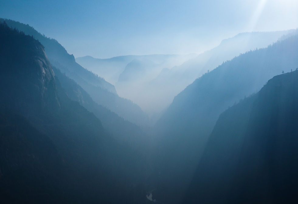 Image by Peter Secan