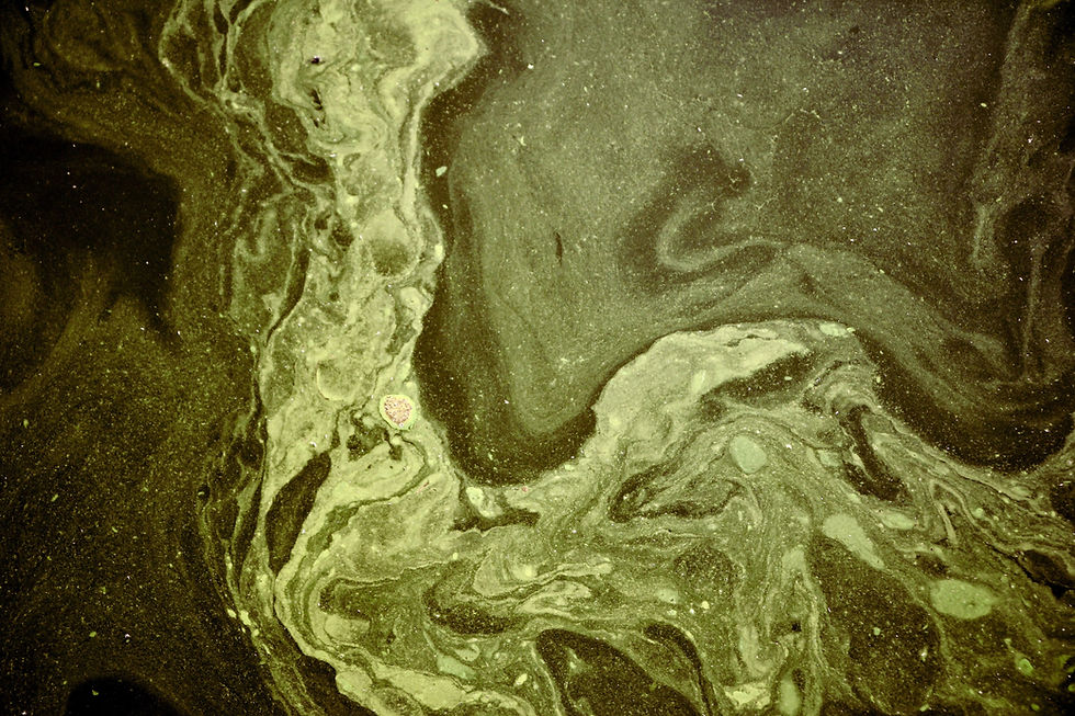 chemicals floating in water