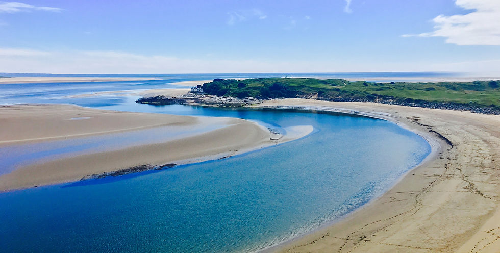 Beach cleaning the estuaries