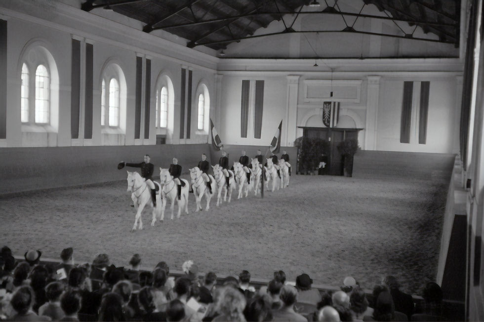Spanish Riding School in Vienna, Austria