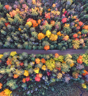 Image by Aaron Burden