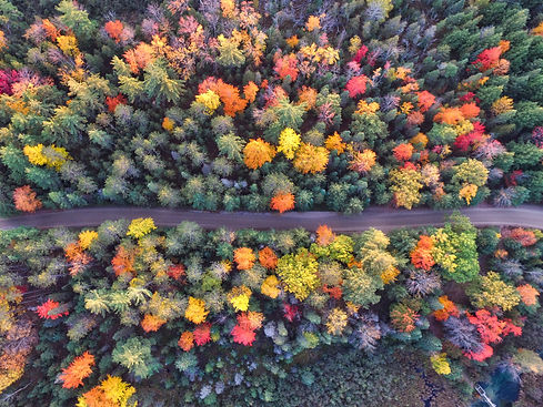 Image by Aaron Burden