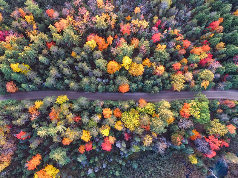 Image by Aaron Burden