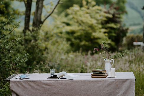 Image by Annie Spratt