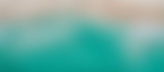 Newsletter & programme novembre