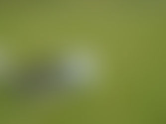 Why Do I Hit My 7-Iron Great but Struggle With My 5-Iron?