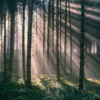 Image by Pascal Debrunner
