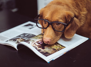 Image by Jamie Street