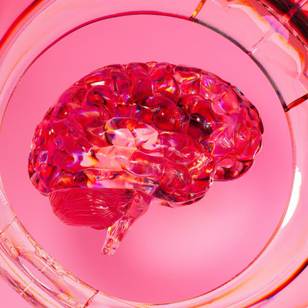 IMMUNOLOGIE ET NEUROPATHOLOGIE DES NODOPATHIES AUTO-IMMUNES : REVUE DE LA LITTERATURE