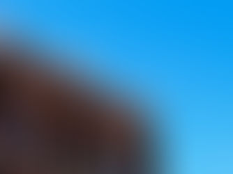 GALVESTON PRO TIPS From Leslie Whaylen