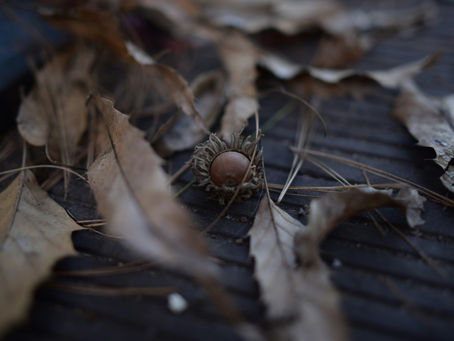 안마 안산 · 고잔동 스웨디시 & 20대 마사지 즐기기 | 최신 마사지사이트 안내