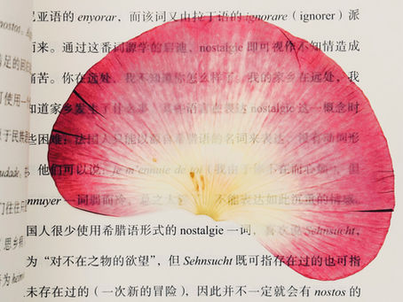 Thought leadership ís acquisitie. En het is de meest menselijke vorm van klanten aantrekken die er bestaat.