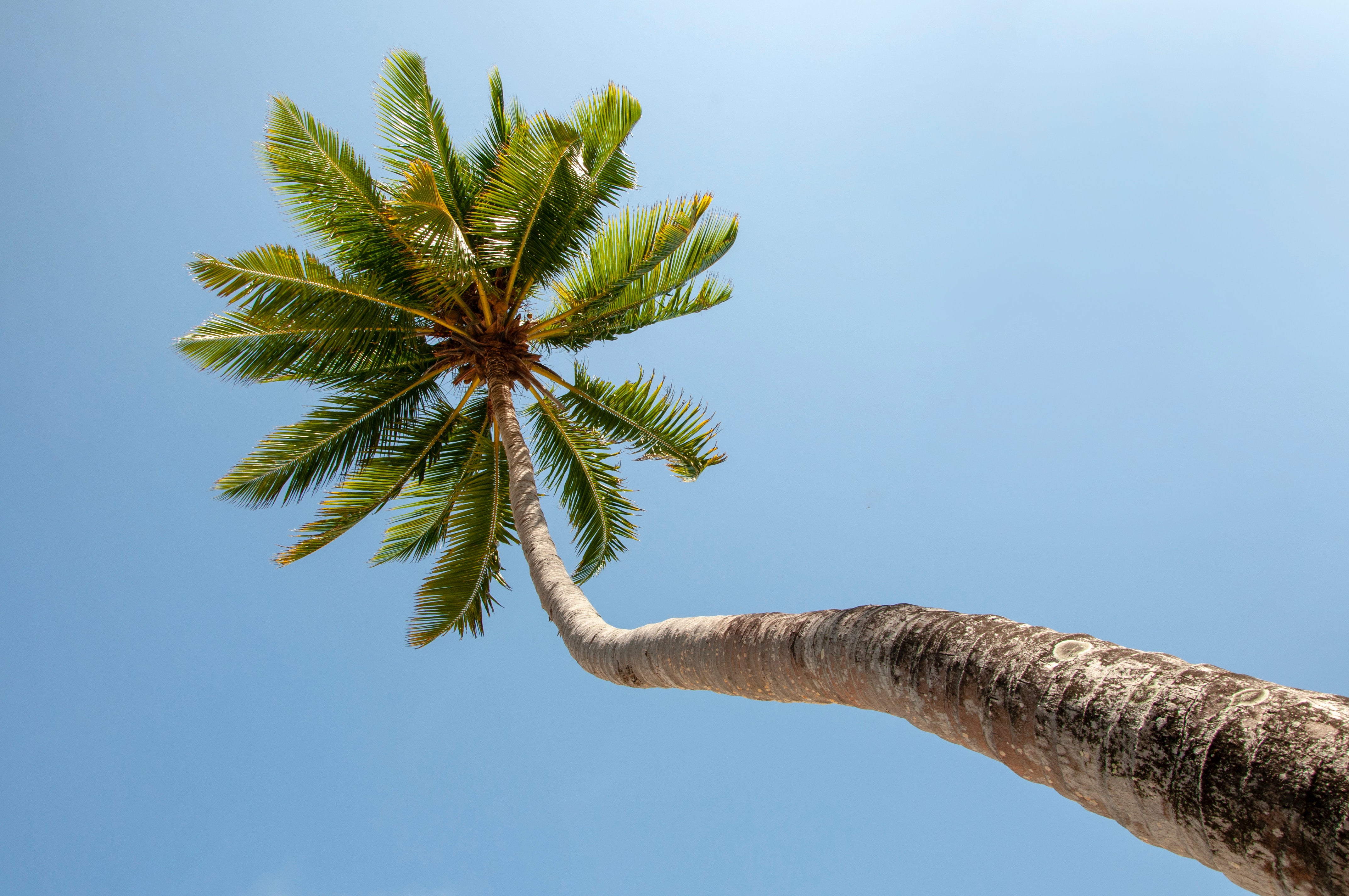 Maldives Escape: Tropical Bliss — photo 4