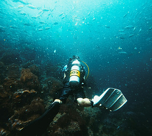 Image by NIR HIMI