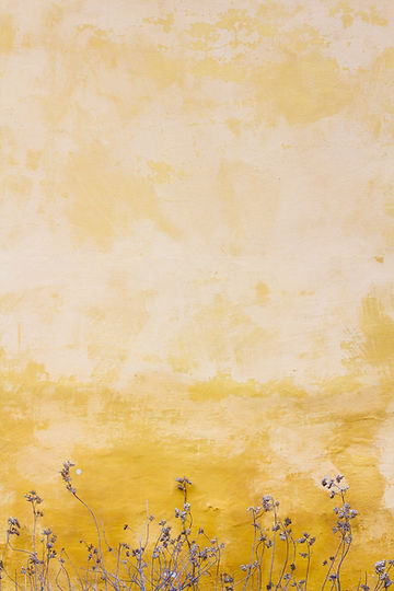 Image by Mona Eendra