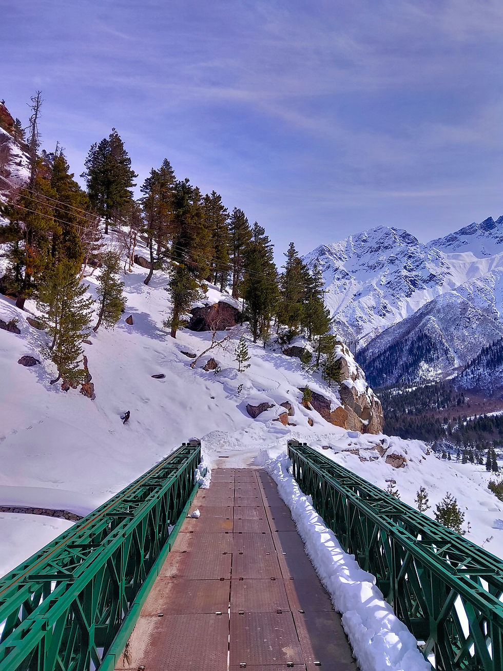 A Bridge near Chitkul