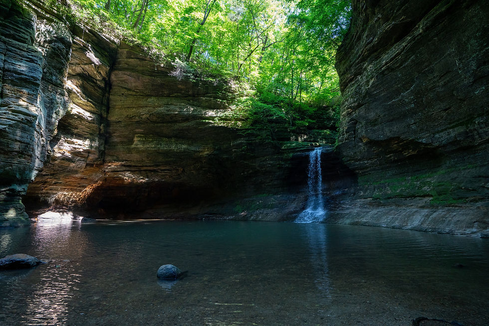 A small waterfall flows into a serene pond, surrounded by tall, rocky cliffs and lush green trees under dappled sunlight.
