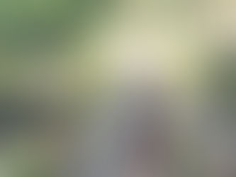 第一サムエル21章1節~6節 キリストのように歩む恵み