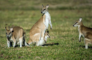 Image by David Clode