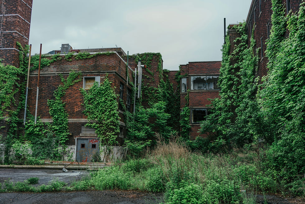 Abandoned brick building covered in ivy, symbolizing how neglect causes slow structural decay in accounting departments.