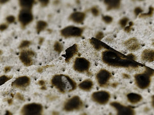 The Plagues and the Passover -- a study of Exodus 12