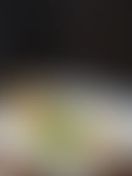 Tramezzino credits unspalsh