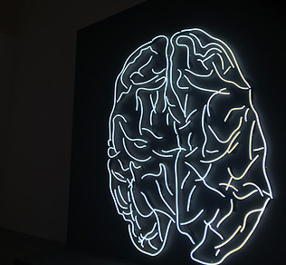 Image by Tayla Jeffs