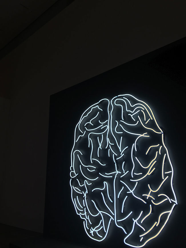 Image by Tayla Jeffs