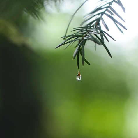 Maximise team time: Remote working and being thoughtful about the time spent together